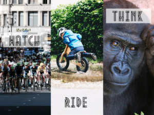 リニューアルしました（ちょっとだけ）。